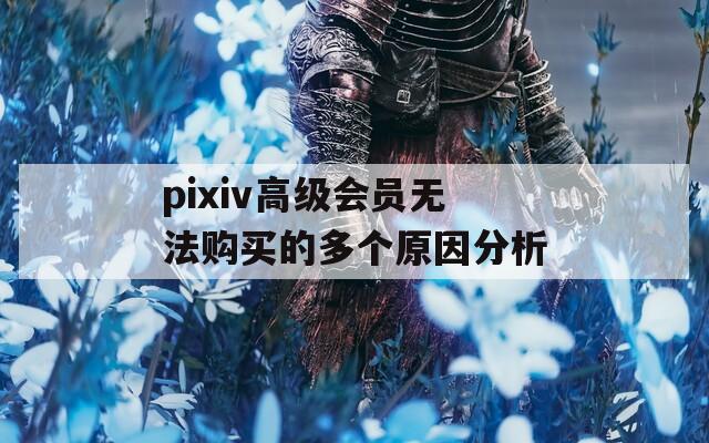 pixiv高级会员无法购买的多个原因分析