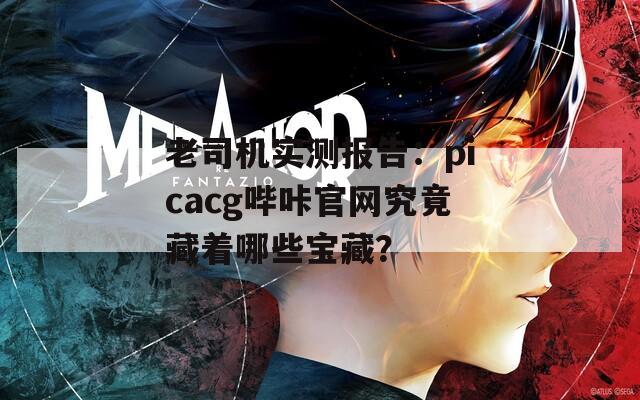 老司机实测报告：picacg哔咔官网究竟藏着哪些宝藏？