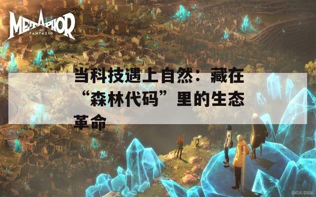 当科技遇上自然：藏在“森林代码”里的生态革命