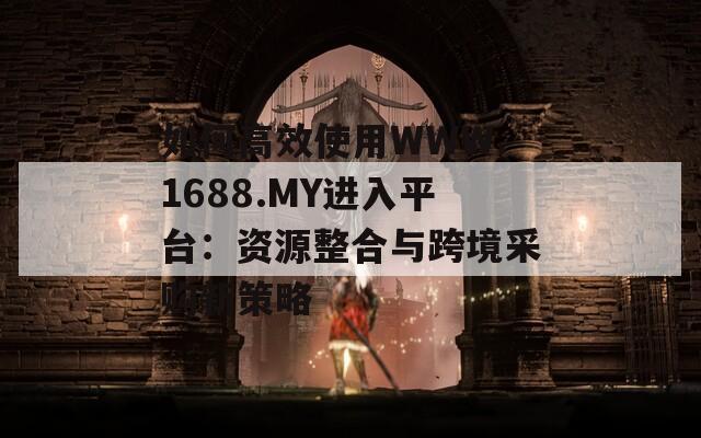 如何高效使用WWW.1688.MY进入平台：资源整合与跨境采购新策略