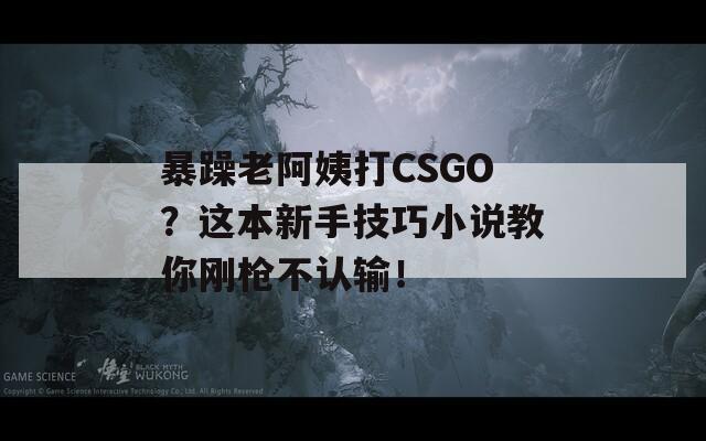 暴躁老阿姨打CSGO？這本新手技巧小說教你剛槍不認輸！