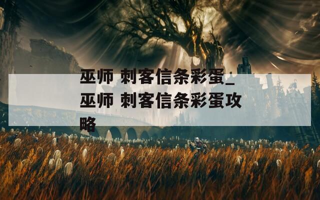 巫师 刺客信条彩蛋_巫师 刺客信条彩蛋攻略