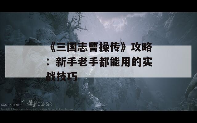 《三国志曹操传》攻略：新手老手都能用的实战技巧