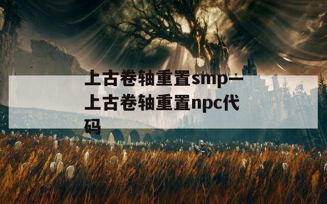 上古卷轴重置smp—上古卷轴重置npc代码