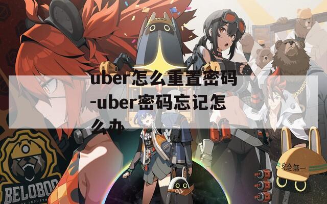 uber怎么重置密码-uber密码忘记怎么办