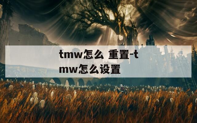 tmw怎么 重置-tmw怎么设置