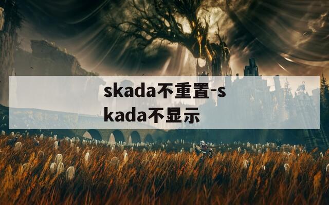 skada不重置-skada不显示