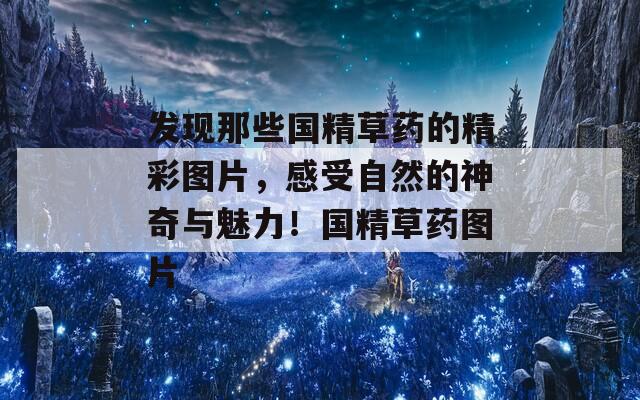 发现那些国精草药的精彩图片，感受自然的神奇与魅力！国精草药图片