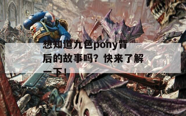 想知道九色pony背后的故事吗？快来了解一下！