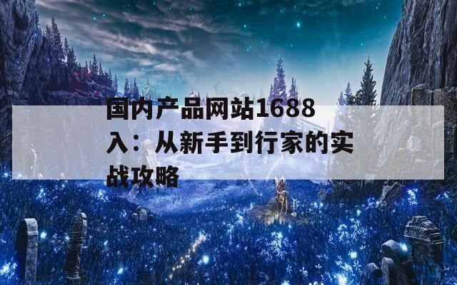 国内产品网站1688入：从新手到行家的实战攻略