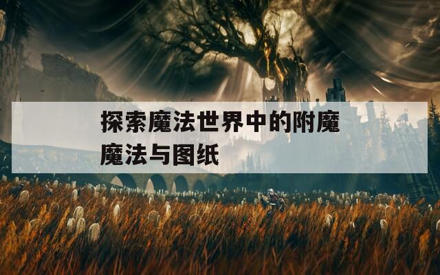 探索魔法世界中的附魔魔法与图纸